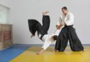 Aikido Lessons