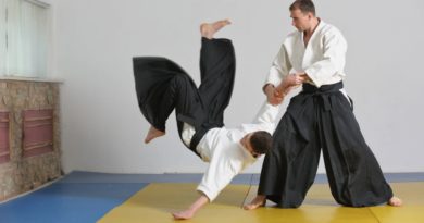 Aikido Lessons