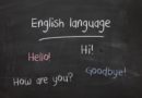 TEFL Courses
