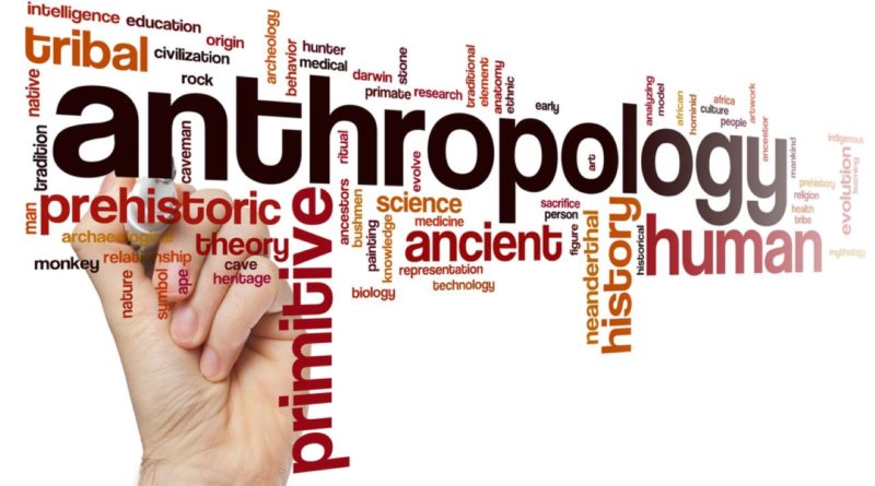 Anthropology Courses