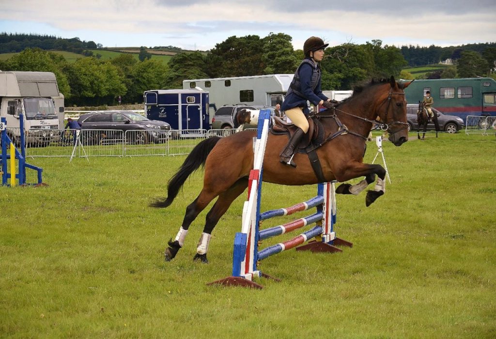 Horse Riding Lessons