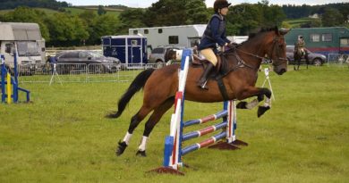 Horse Riding Lessons