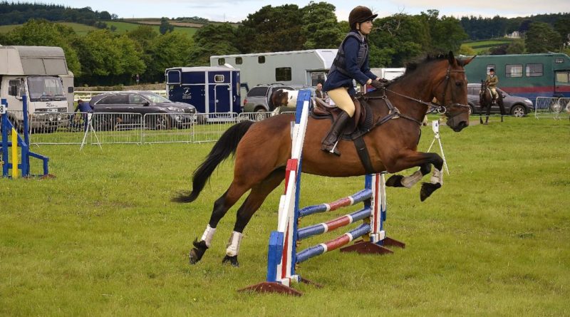 Horse Riding Lessons