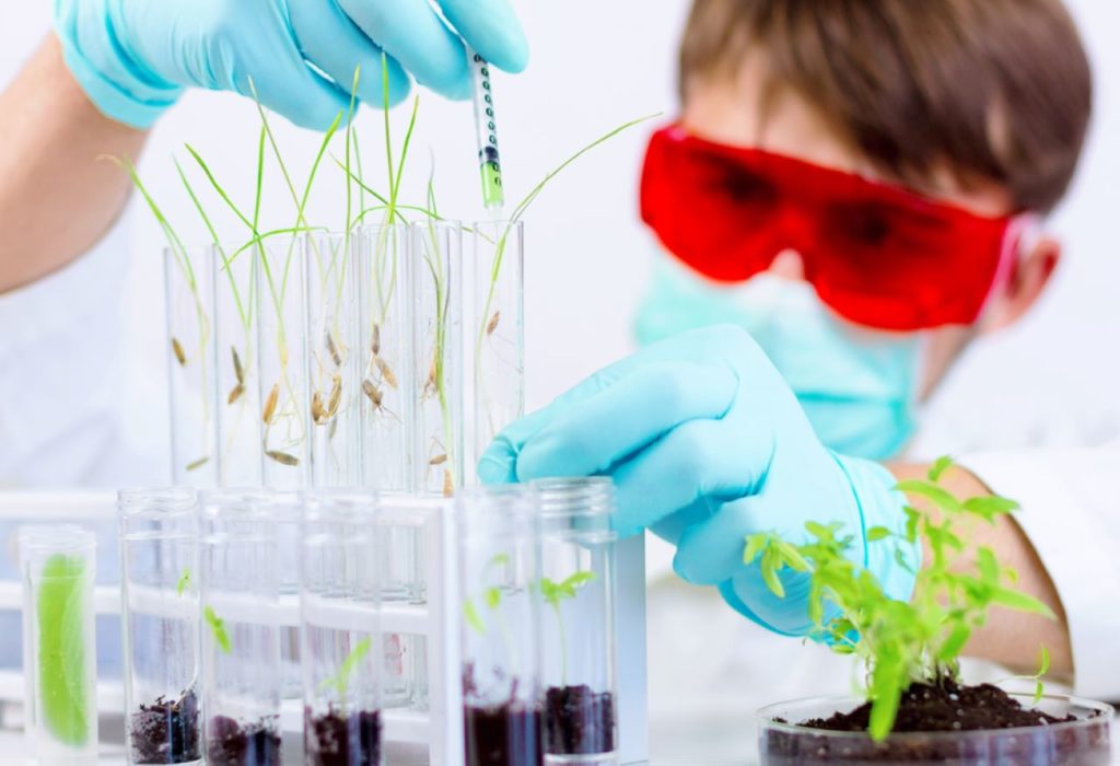 Courses in Environmental Science