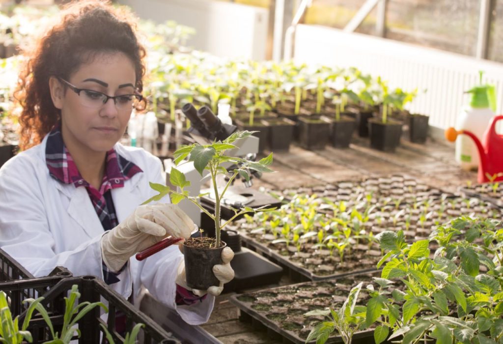 Horticulture Courses