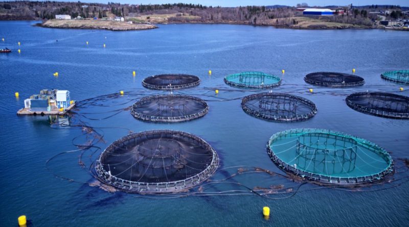 Aquaculture Courses