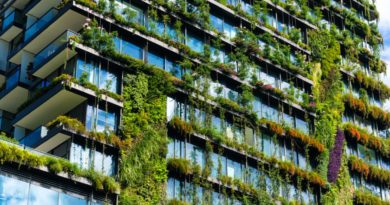 Building Sustainability Courses