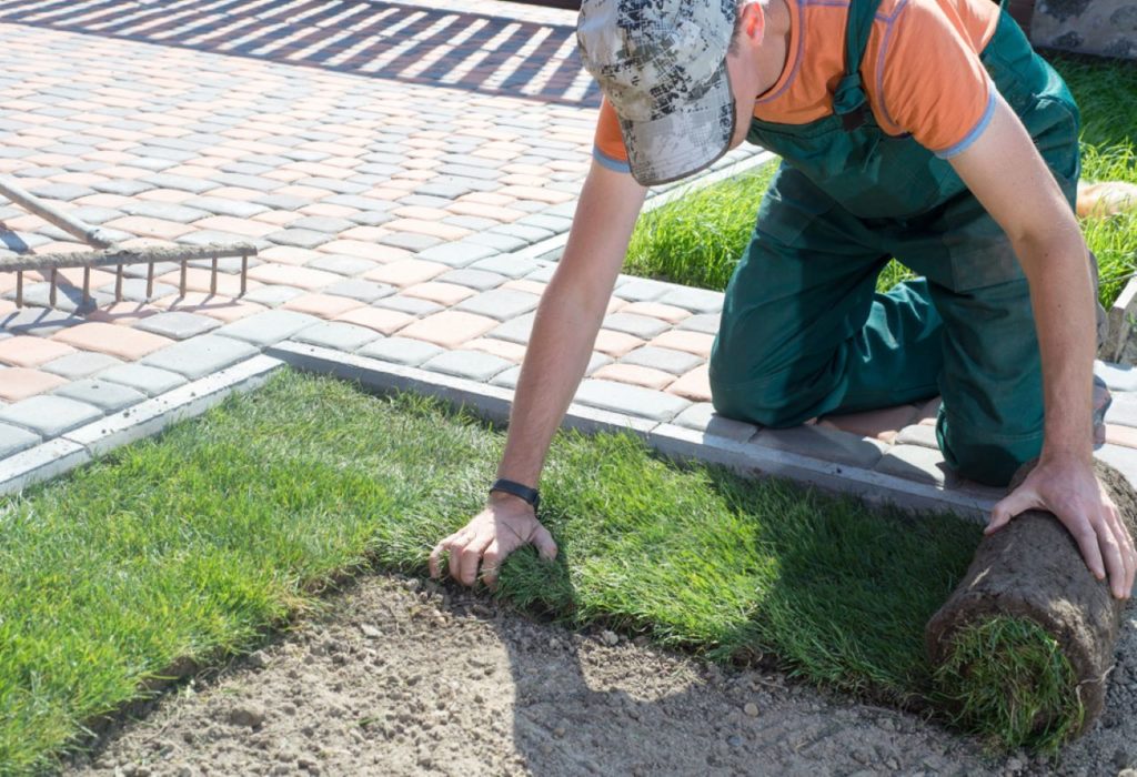 Garden Construction Courses