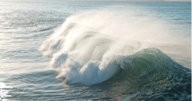 New bacteria in UK waters as temperatures rise